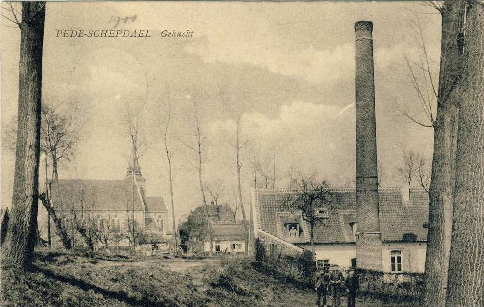 Pedemolen 1911 de molen werd toen met stoom aangedreven (zie schouw)